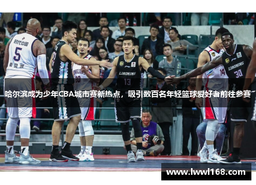 哈尔滨成为少年CBA城市赛新热点，吸引数百名年轻篮球爱好者前往参赛