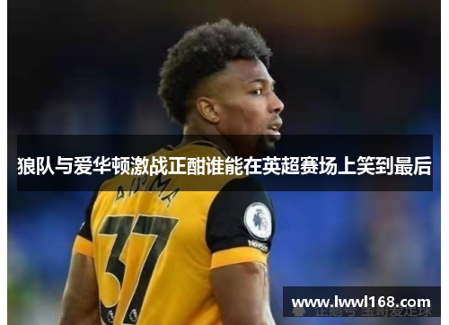 狼队与爱华顿激战正酣谁能在英超赛场上笑到最后
