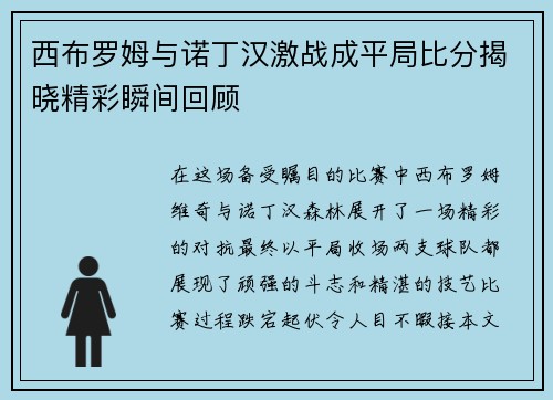 西布罗姆与诺丁汉激战成平局比分揭晓精彩瞬间回顾